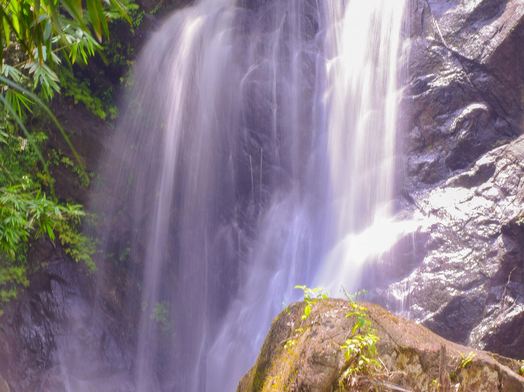 Sinharaja Expedition - Tour Guide In Sinharaja Rainforest景点图片
