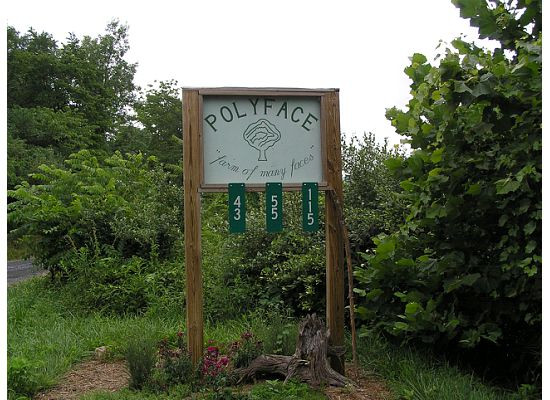 Craigsville旅游景点-Polyface Farms