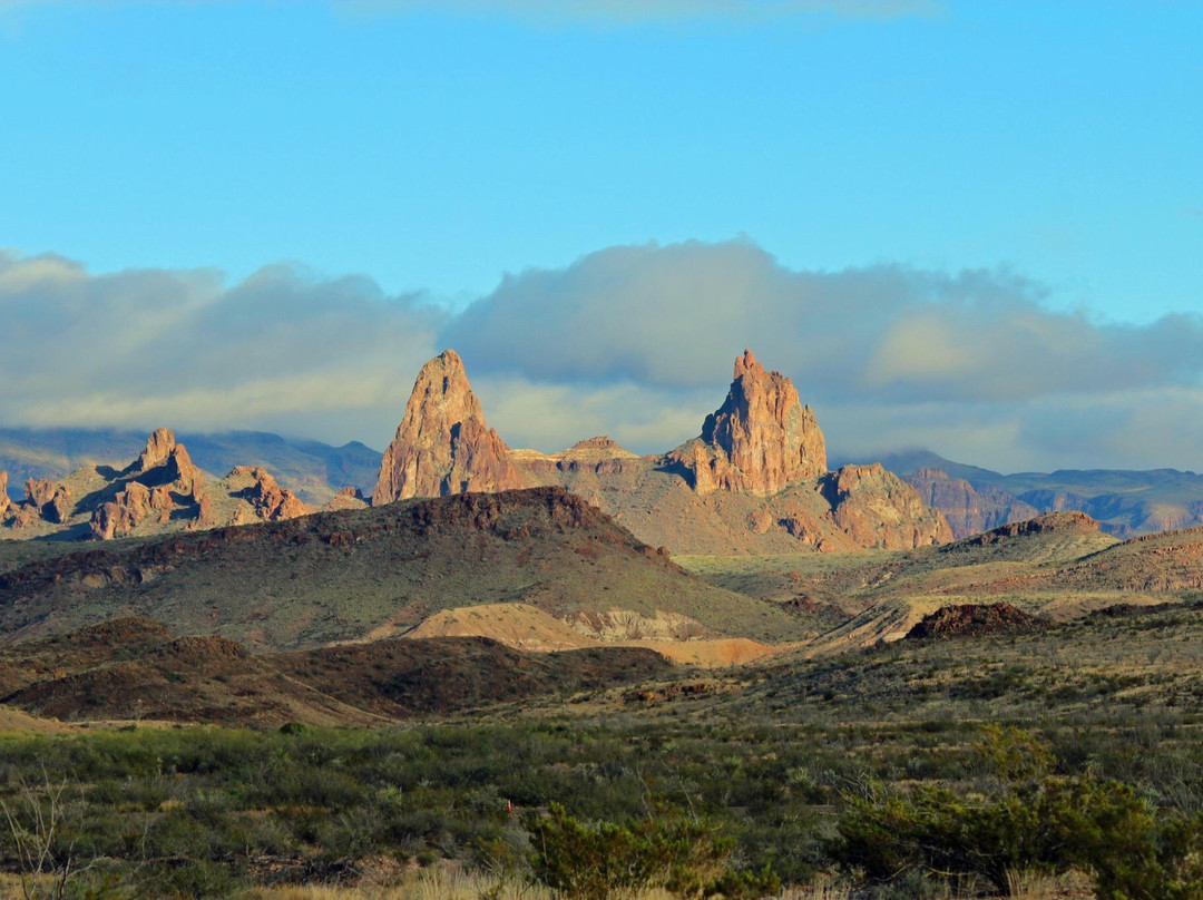 Mule Ears Spring Trail景点图片