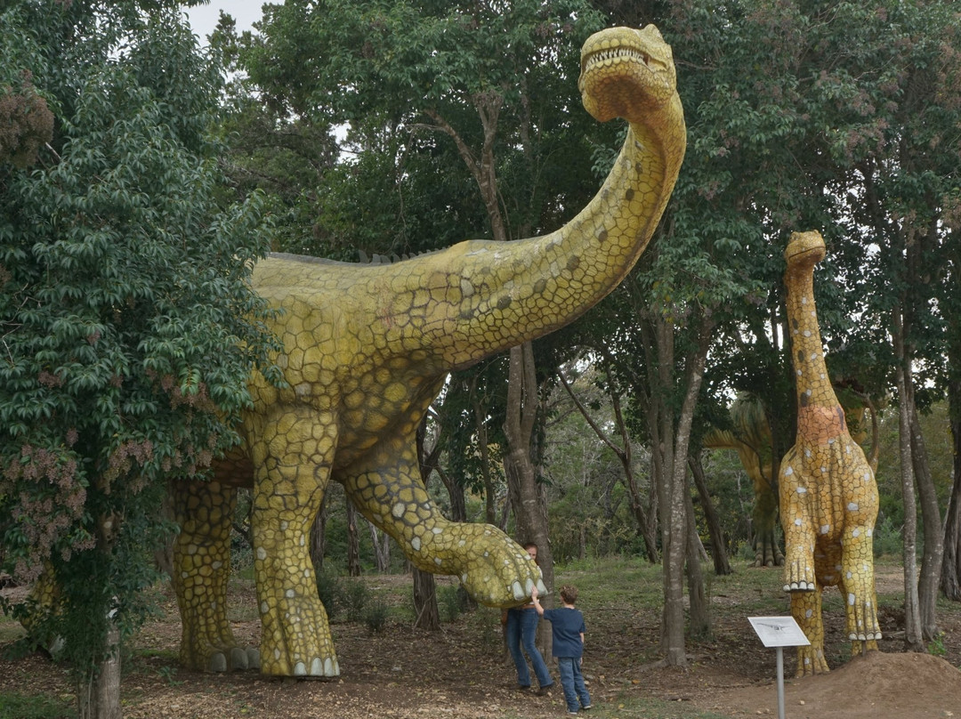 Bandera Natural History Museum景点图片