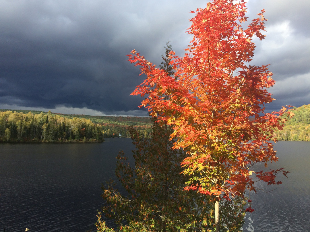 Motel Ours Bleu主图