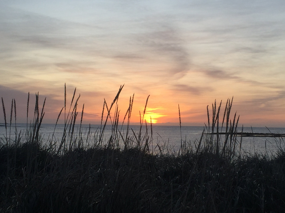 Seltjarnarnes Peninsula Jogging Path-Seltjarnarnes必去景点