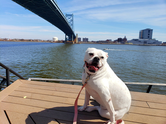 Race Street Pier-费城必去景点