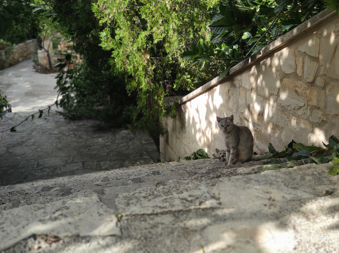 Monastery of Christ and St. Gedeon-Margarites必去景点