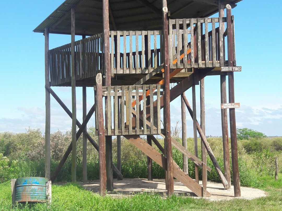 Observatorio de Aves Loma de los Indios景点图片