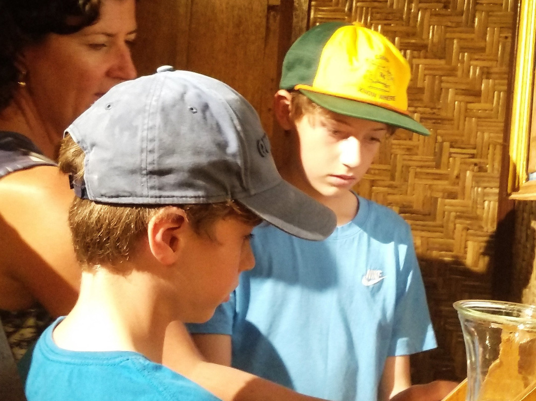 Escape Room Gili Air景点图片