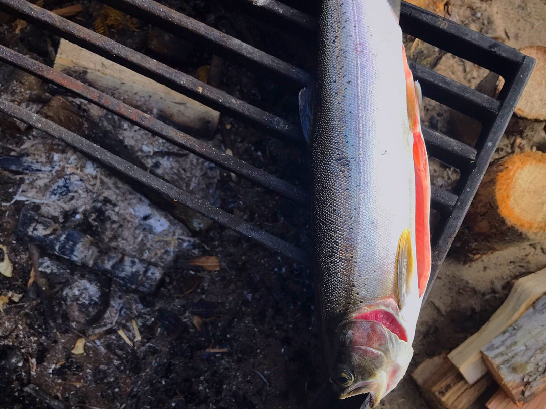 Murtle Lake Provincial Park-Blue River必去景点