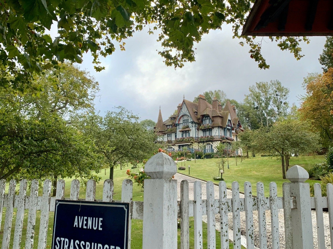 Villa Strassburger景点图片