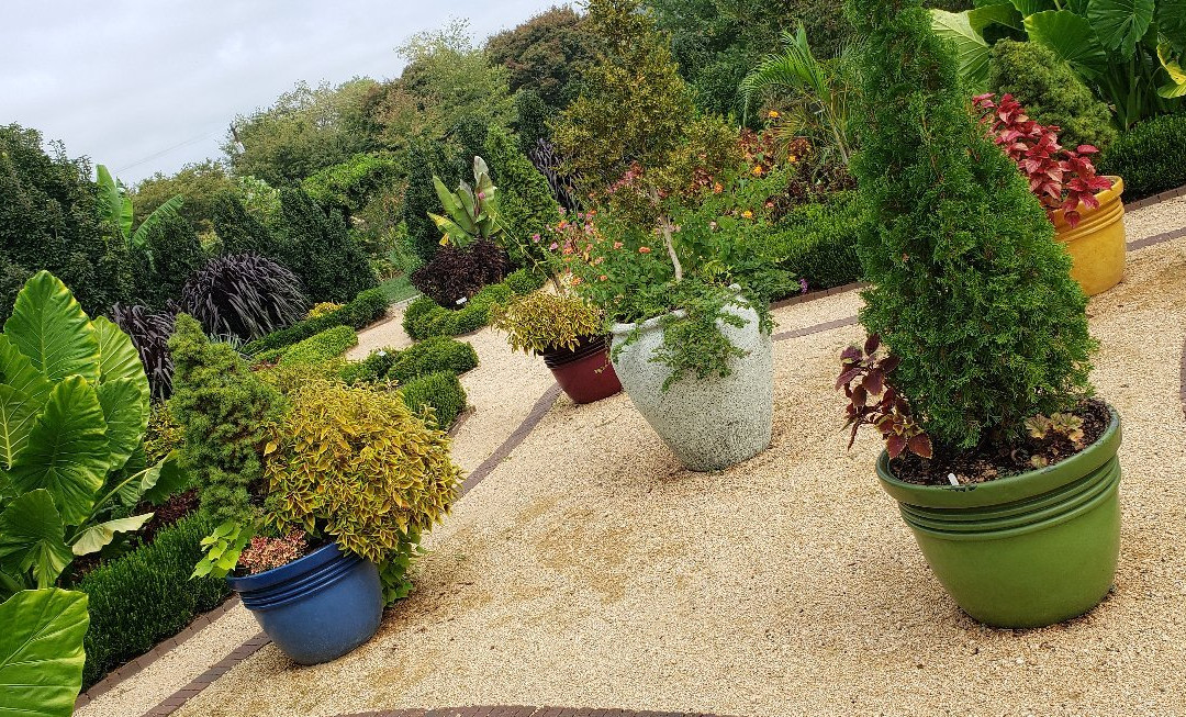 Paul J Ciener Botanical Garden景点图片