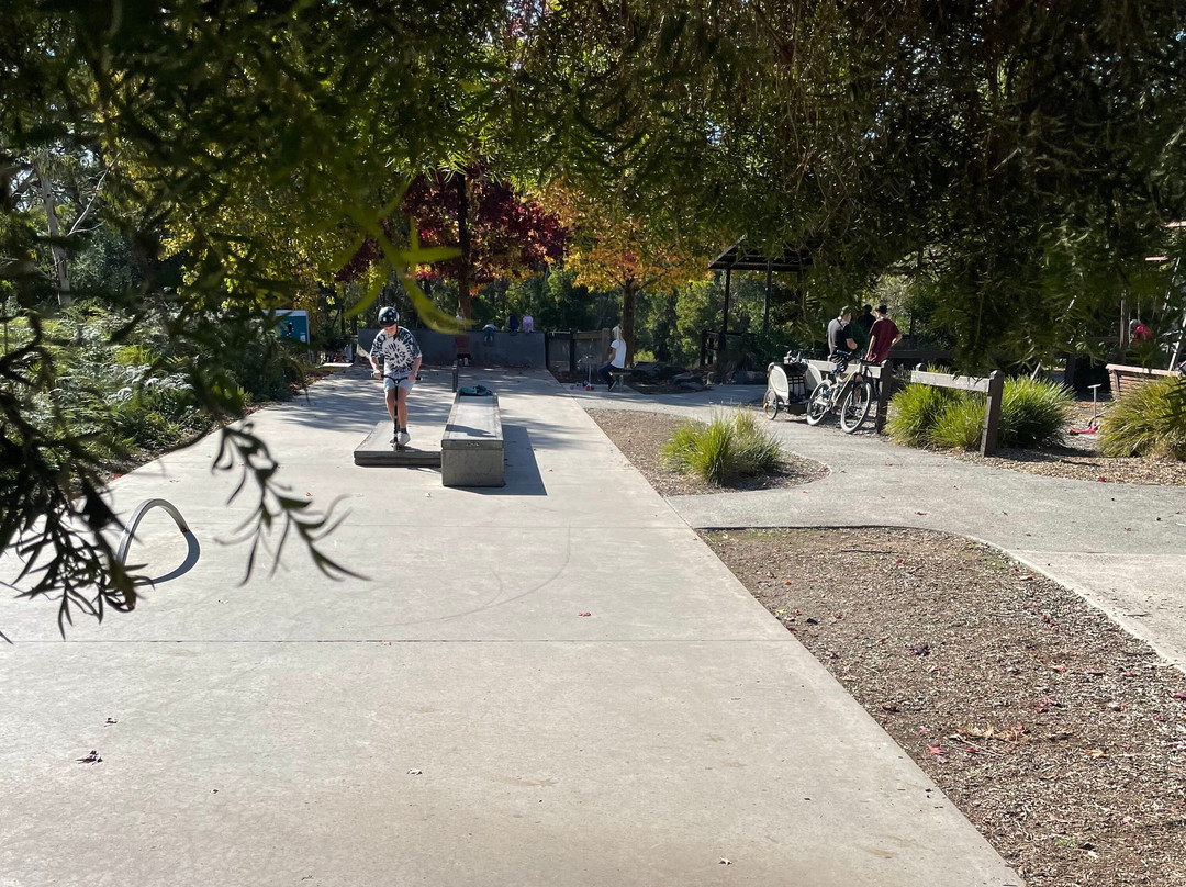 Skate Park And Playground