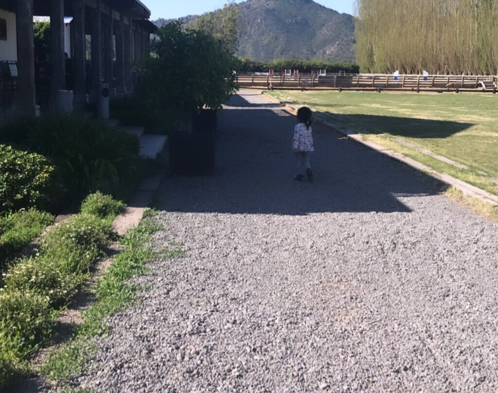 Viña Casa Silva-San Fernando必去景点