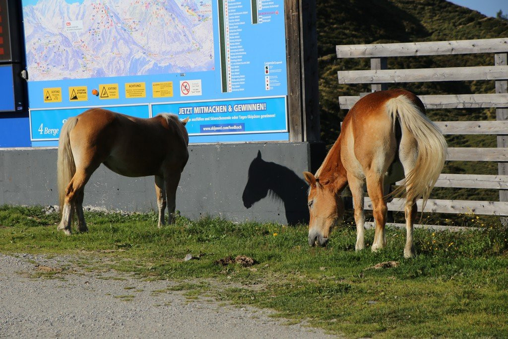 Wiedersberger Horn-高山溪必去景点
