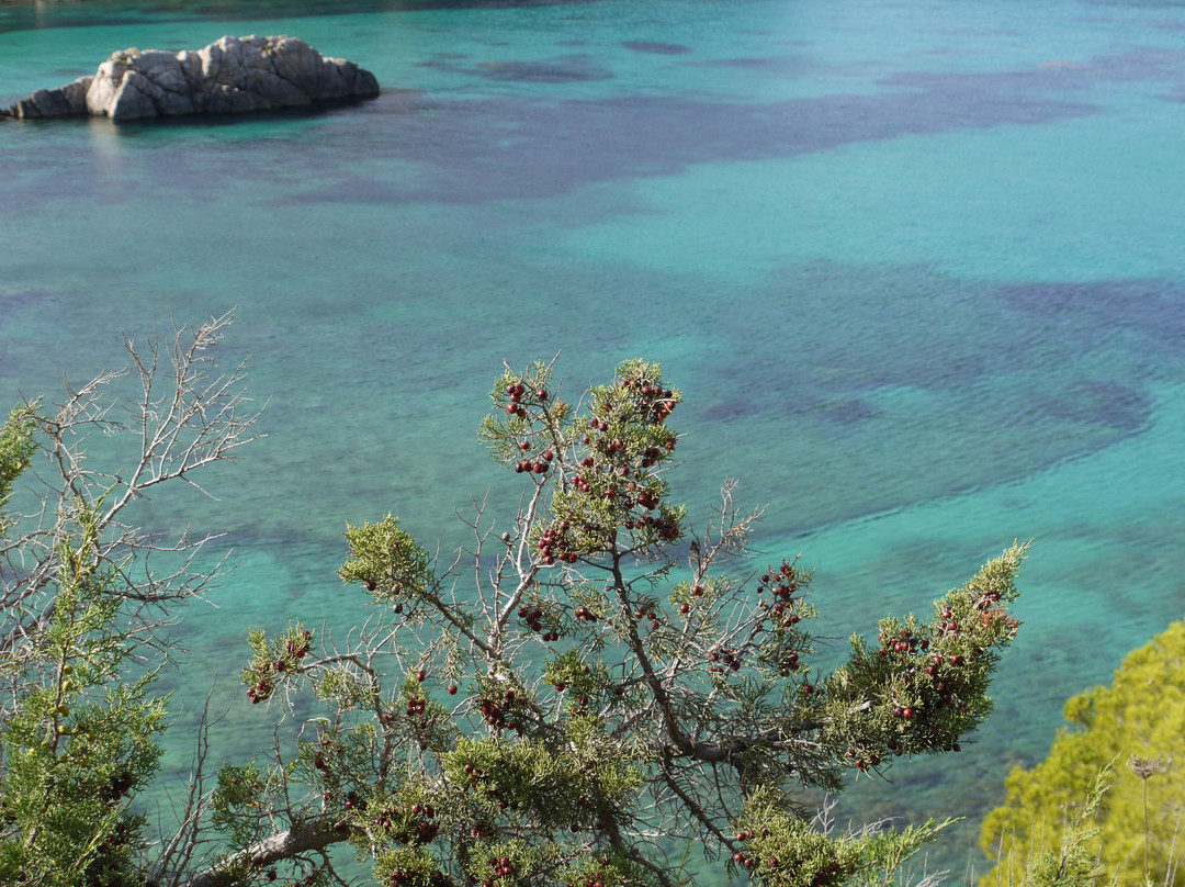 Cala S'Illot des Rencli景点图片