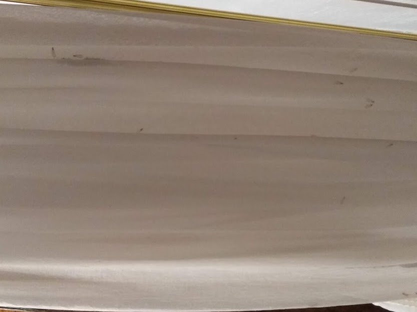 Tapalpa De Mis Amores主图