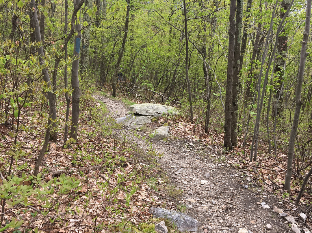Clarksburg State Park-Clarksburg必去景点