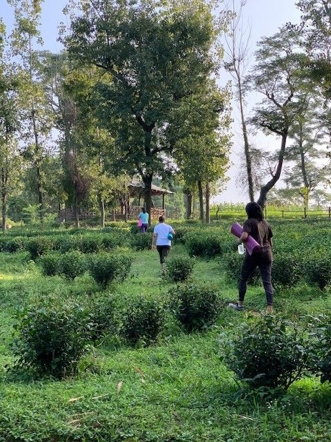 The Lodge at Wah, Palampur主图