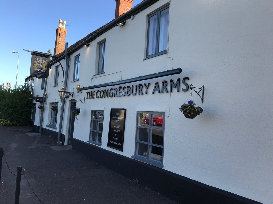 Congresbury Arms主图