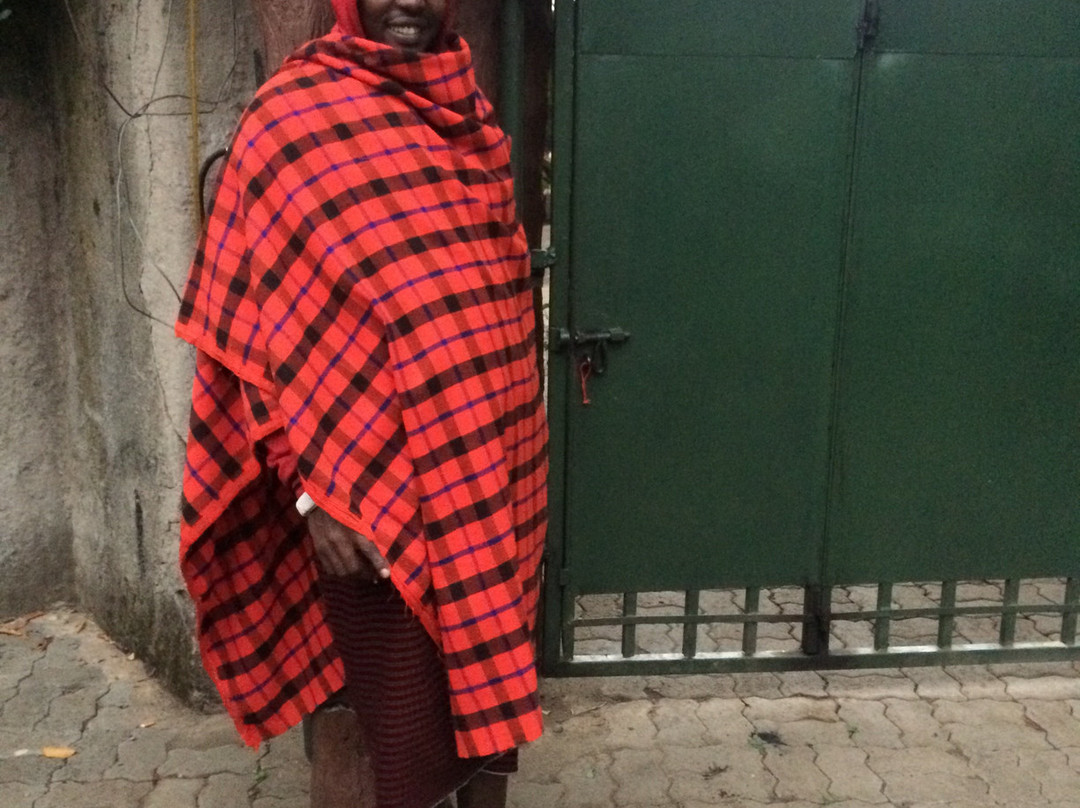 The Vijiji Center Lodge & Safari主图