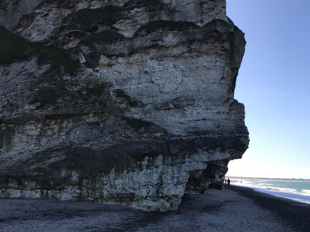 Bulbjerg景点图片