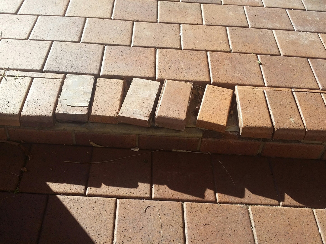 海滨漫步者酒店及度假村，Ascend 酒店精选系列主图