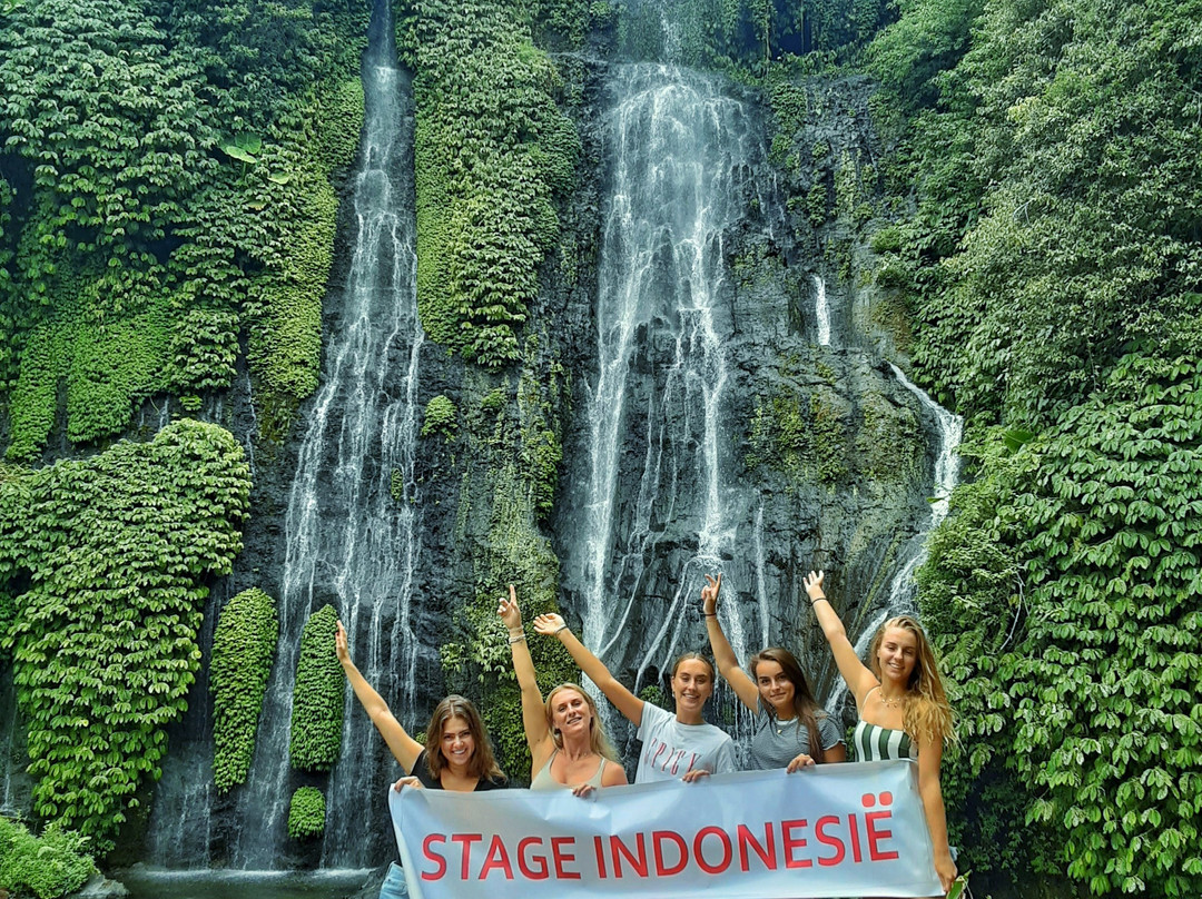 Bali Trip Buddy - Transporter in Paradise-库塔必去景点