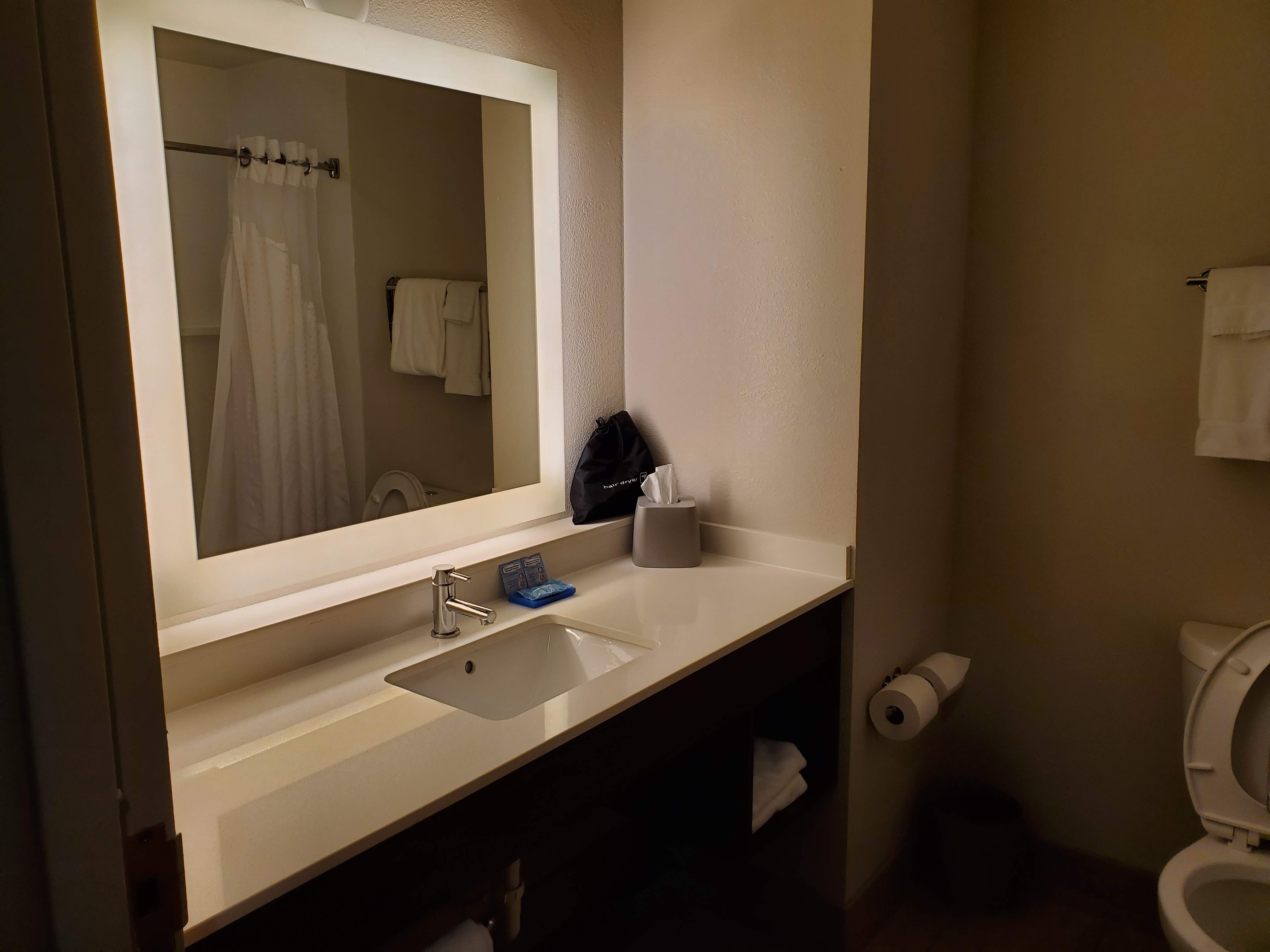 Holiday Inn Express & Suites Tavares - Leesburg, an IHG hotel-浴室