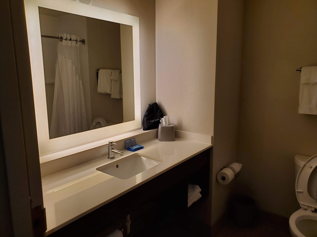 Holiday Inn Express & Suites Tavares - Leesburg by IHG主图