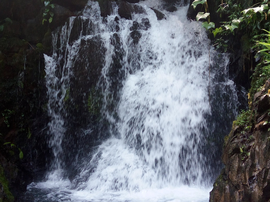 Pousada da Tammy主图