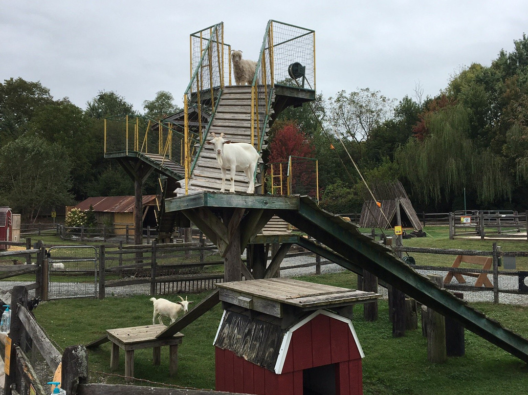 Corn Cob Acres Field of Fun-Mountville必去景点