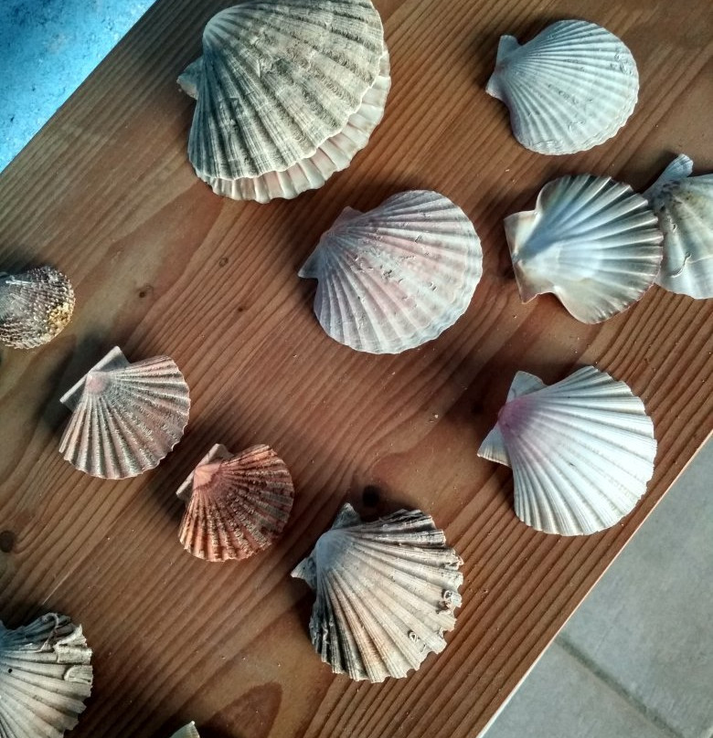 Kini Aquarium-Kini必去景点