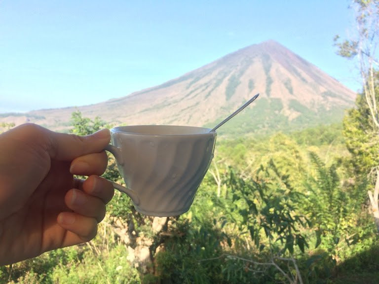 Manulalu Bed and Breakfast主图