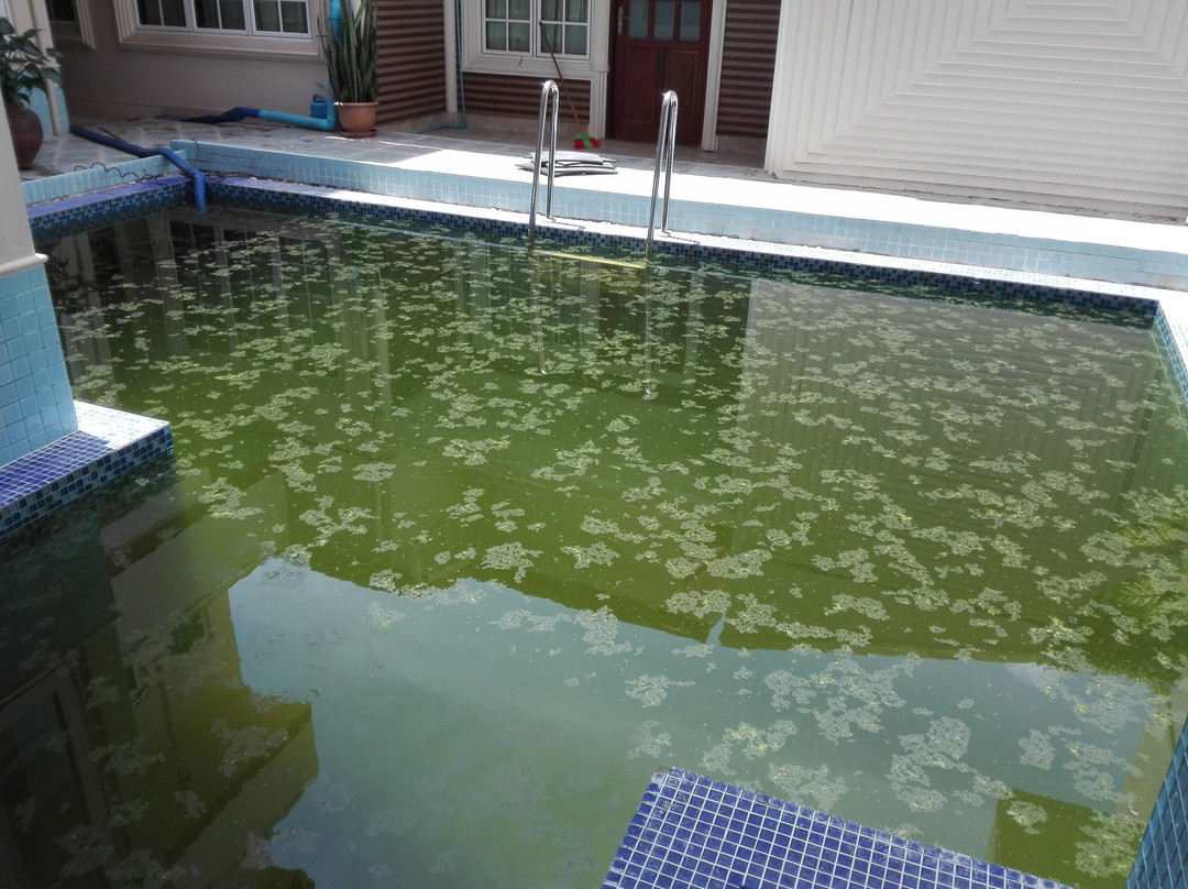 遐思潜水村酒店主图