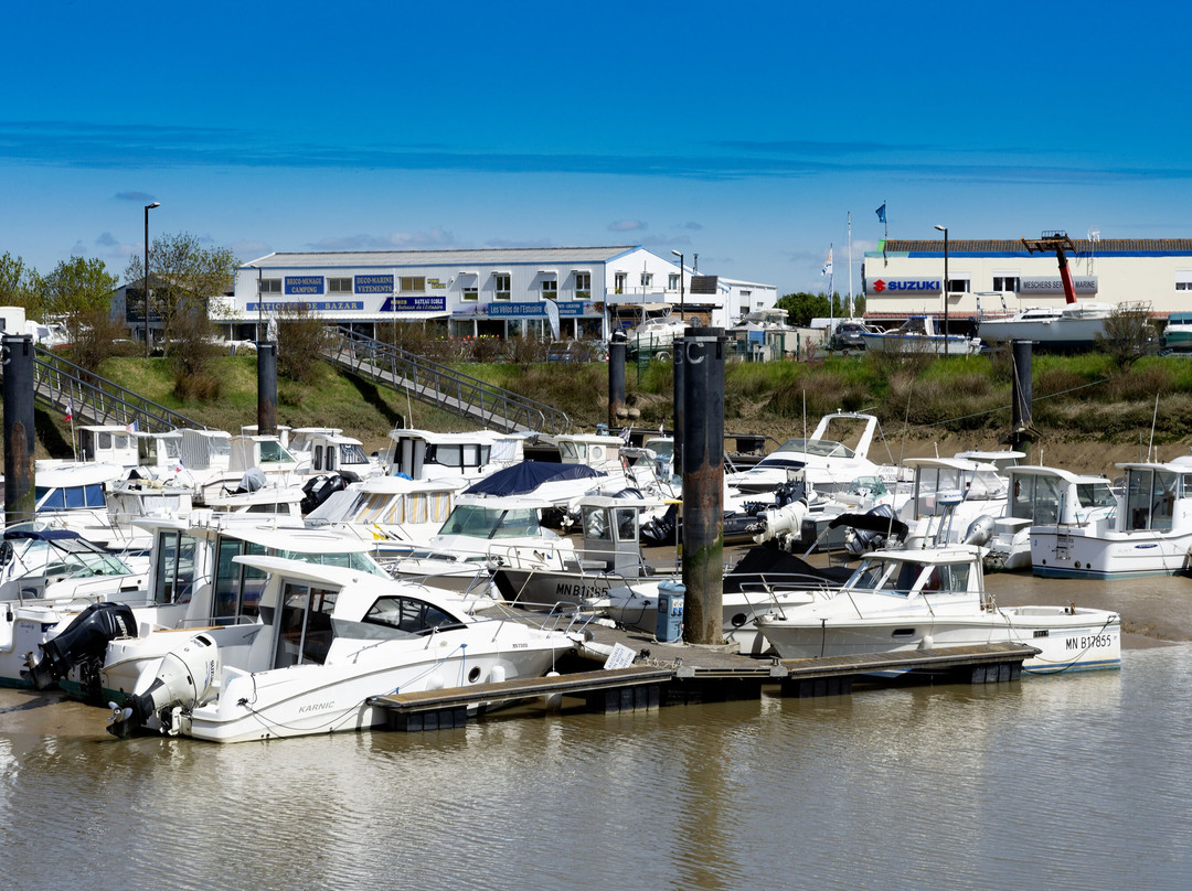 Marina de Meschers景点图片