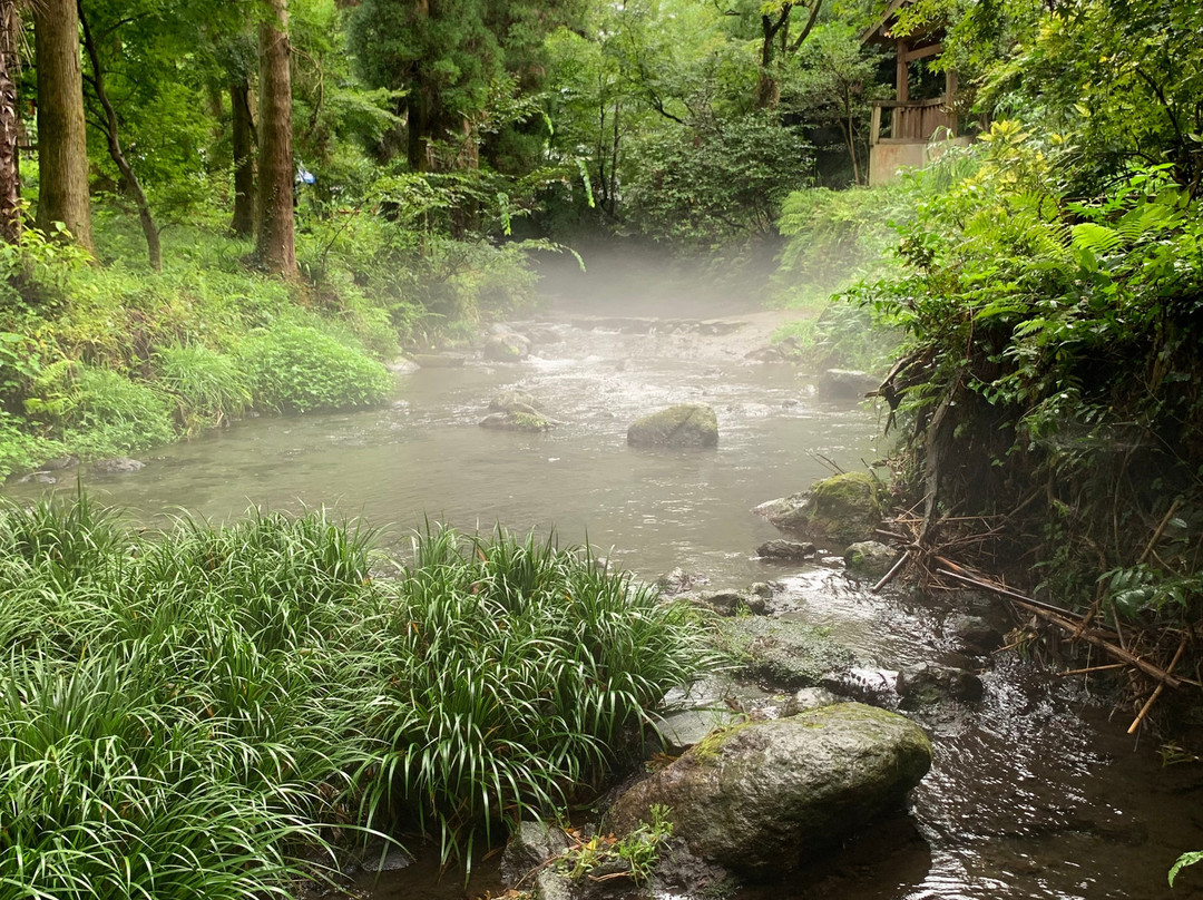 Shirakawa Springs景点图片