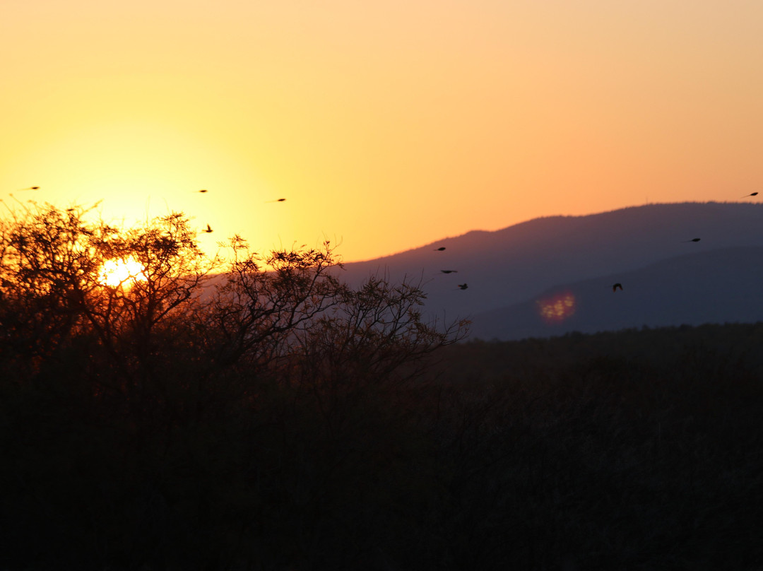 Sadaka Safaris景点图片