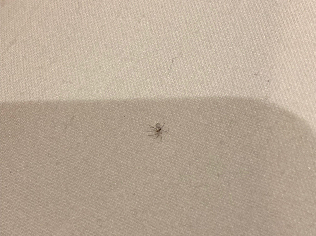 Hotel Christine主图