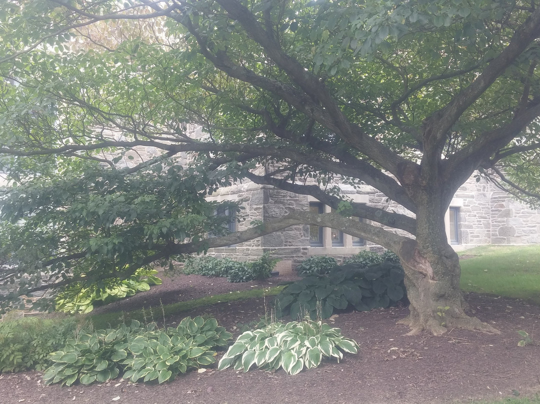 Bryn Mawr College-Bryn Mawr必去景点