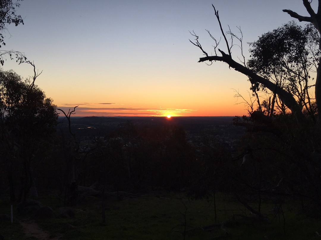 Balmattum Hill Walking Track景点图片