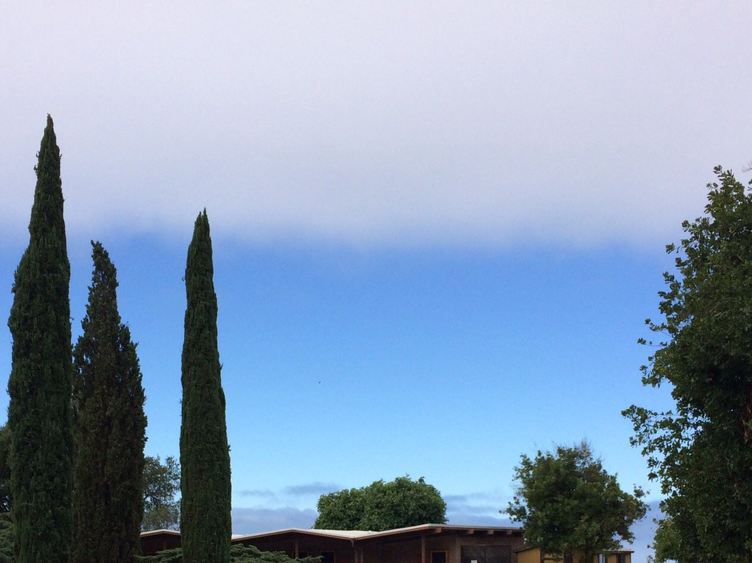 New Camaldoli Hermitage-大苏尔必去景点