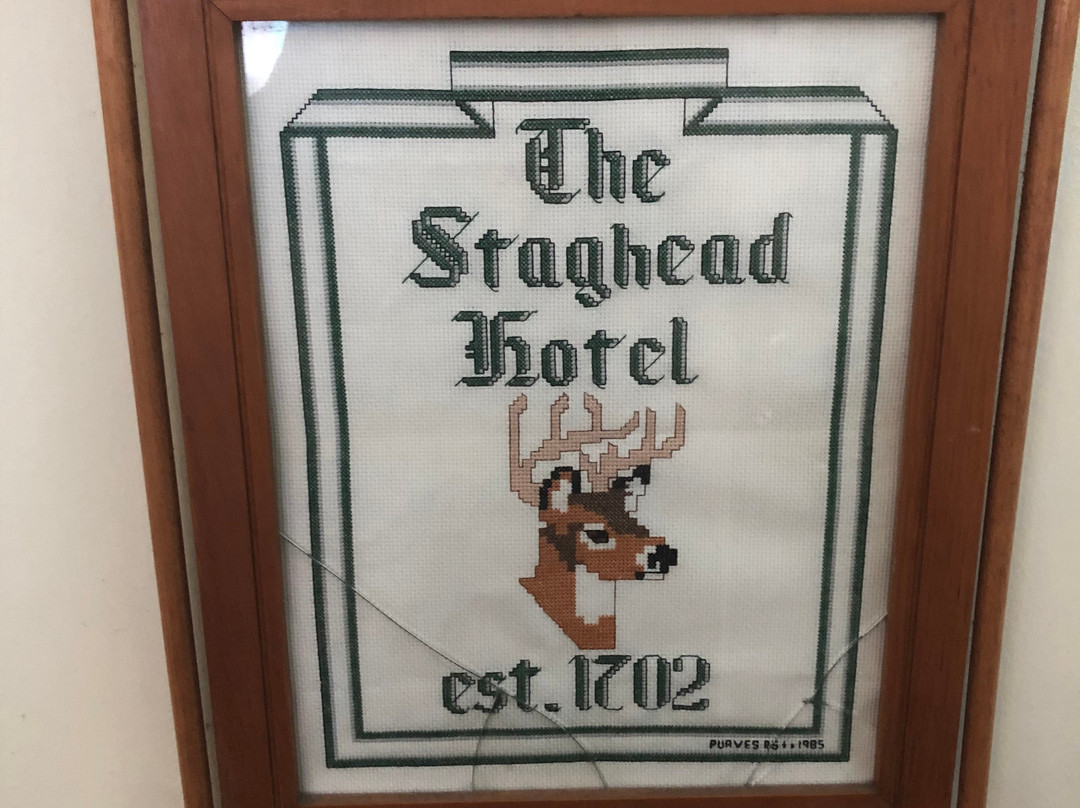 The Staghead Hotel主图