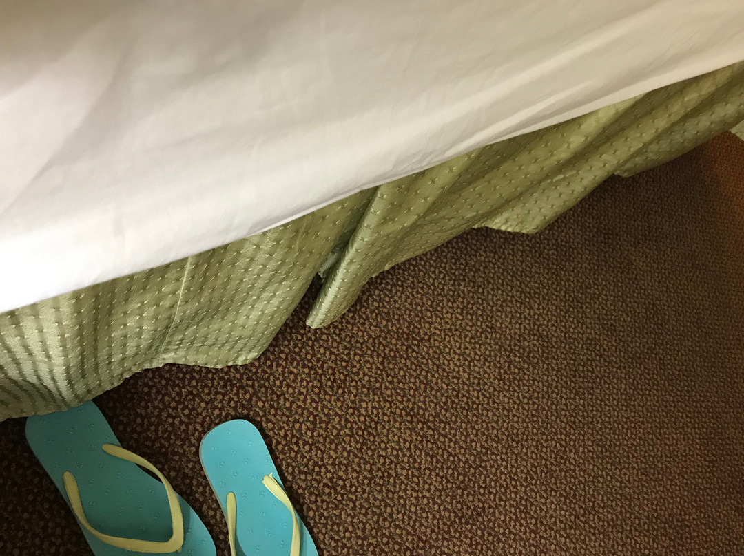 Hawthorn Extended Stay主图