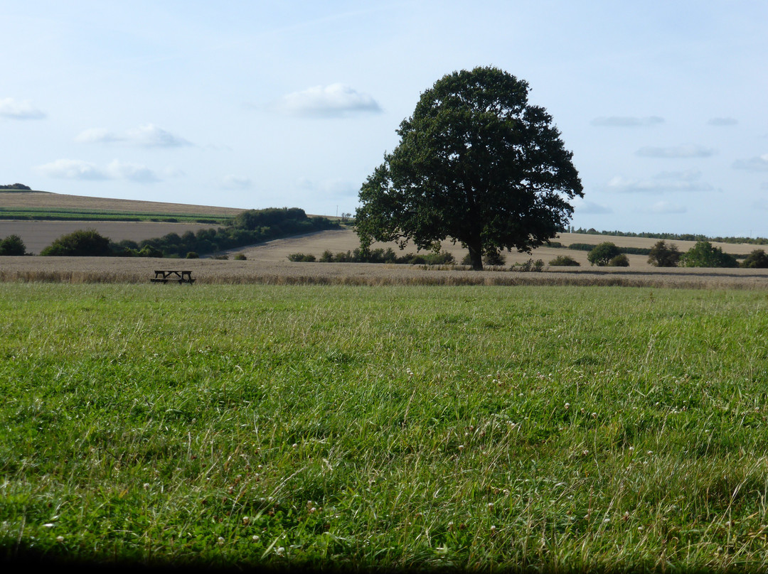 Bowerchalke旅游攻略图片