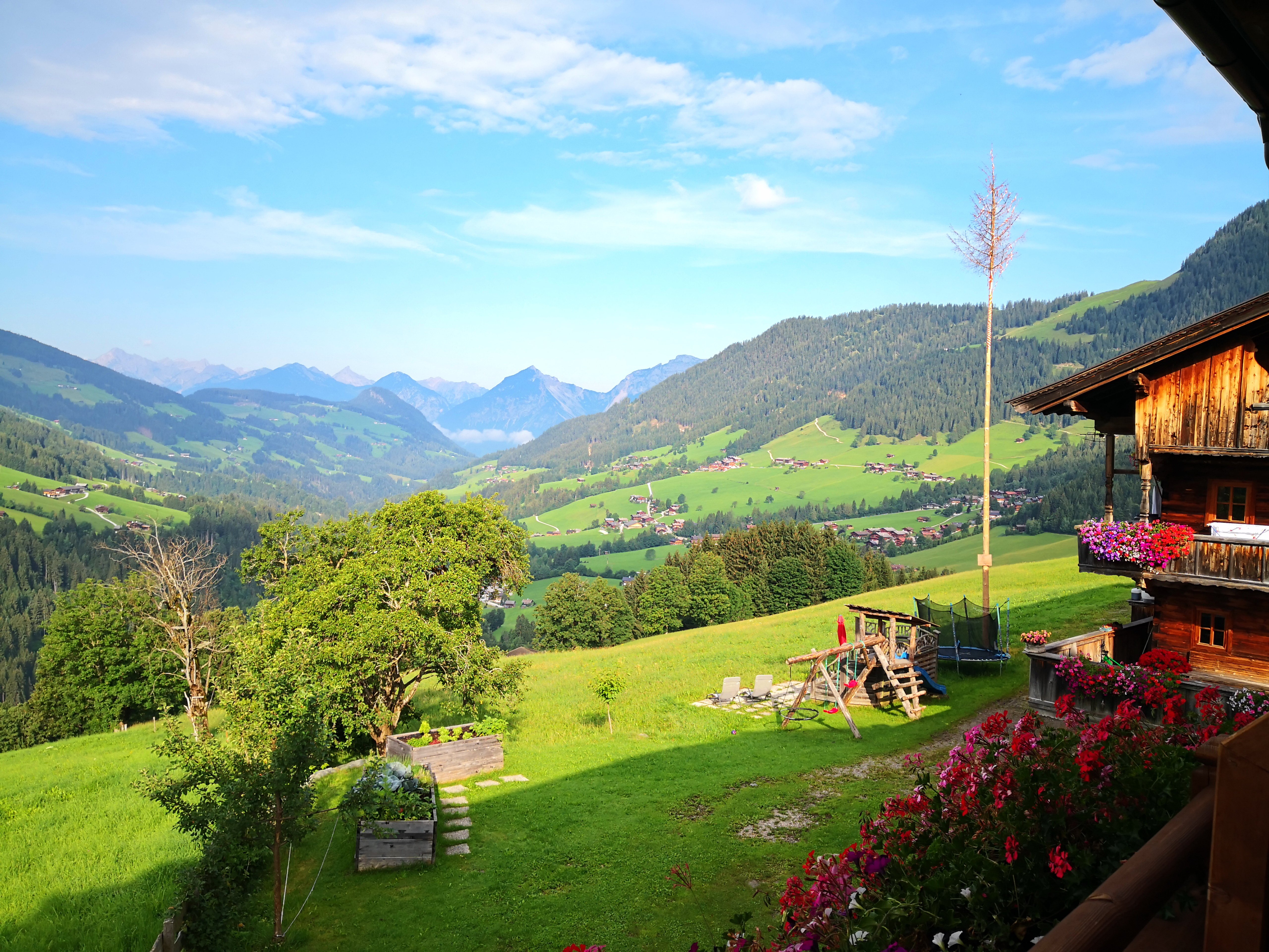 Rossmoos Gasthof-酒店景观