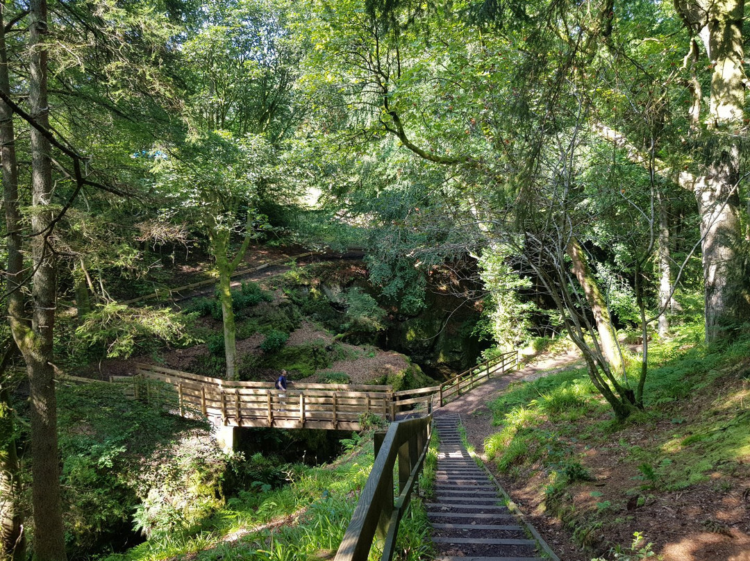 The Double Bridge of Rumbling Bridge景点图片