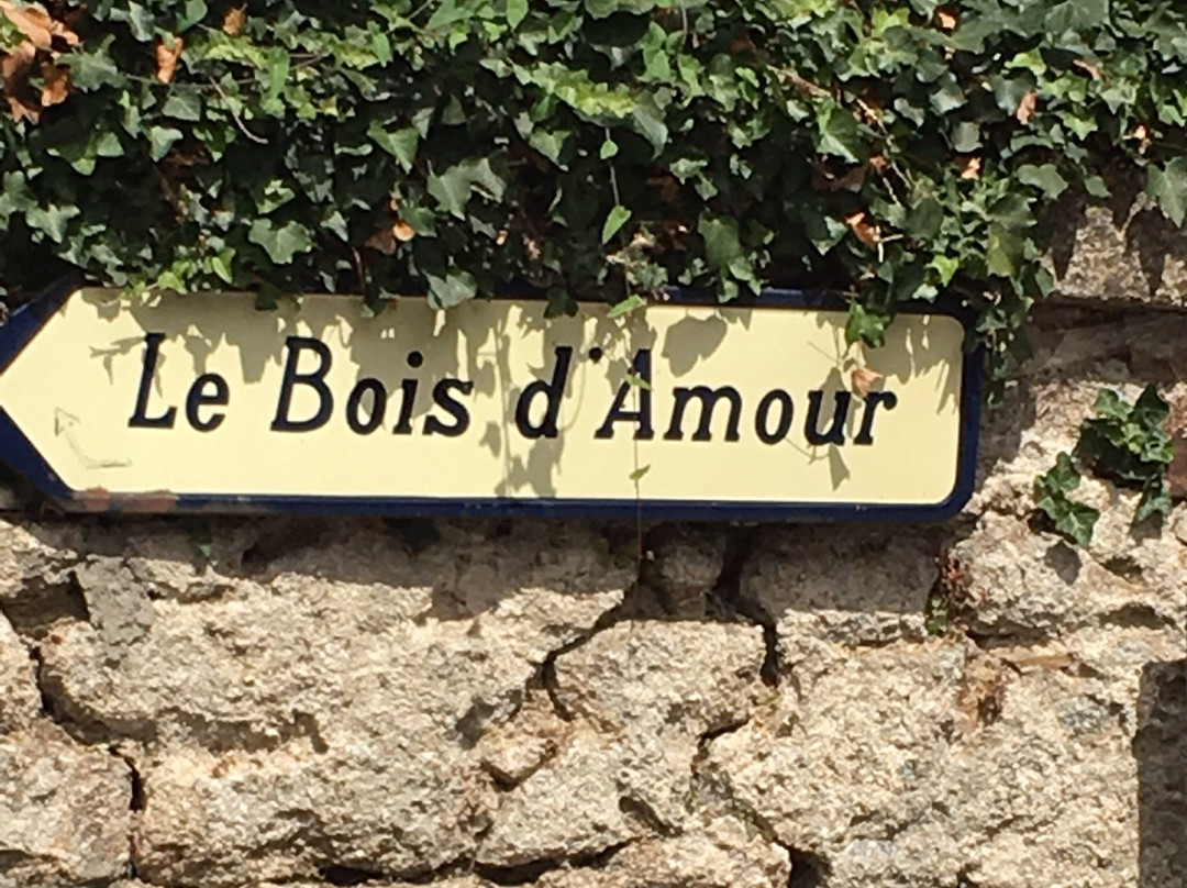 Pont-Aven Ecole d'Art景点图片