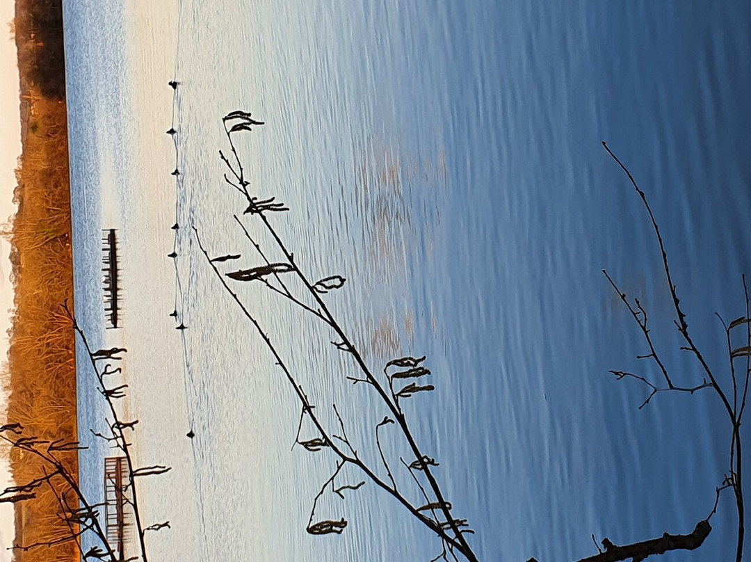 Little Marlow Lakes Country Park