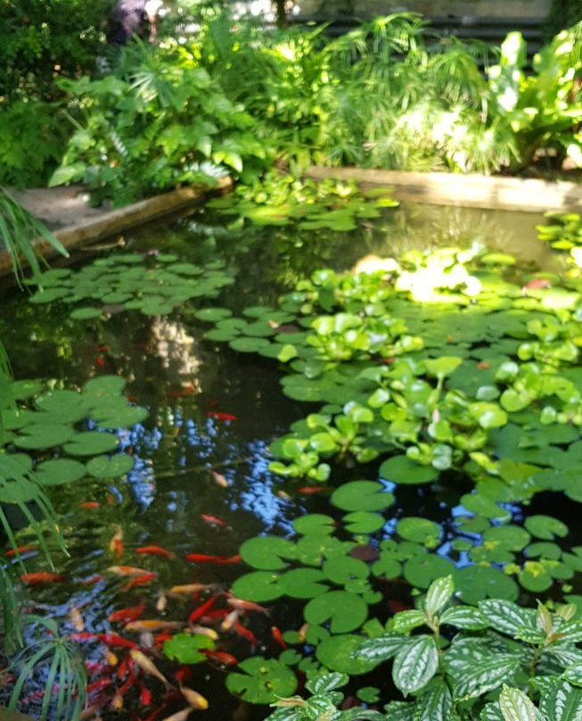 Palmenhaus Konstanz-康士坦茨必去景点