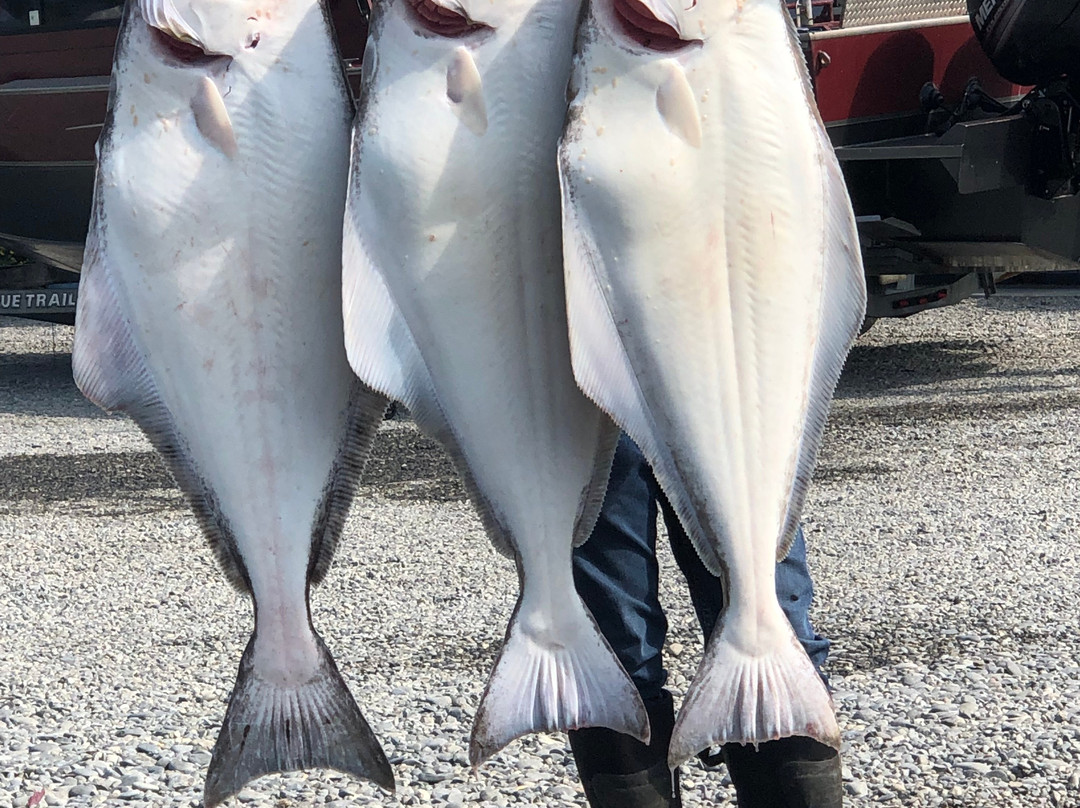 Gotta Fish Charters-尼尔奇克必去景点