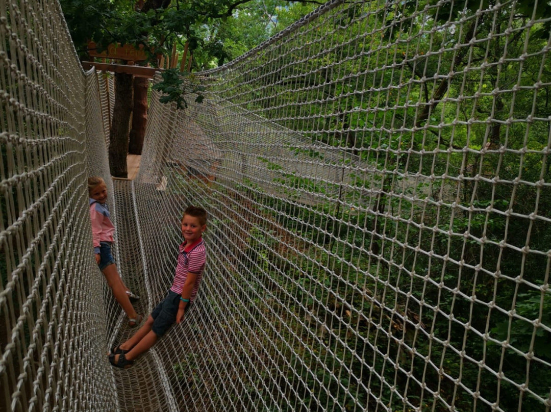 Parc Chloro’fil景点图片