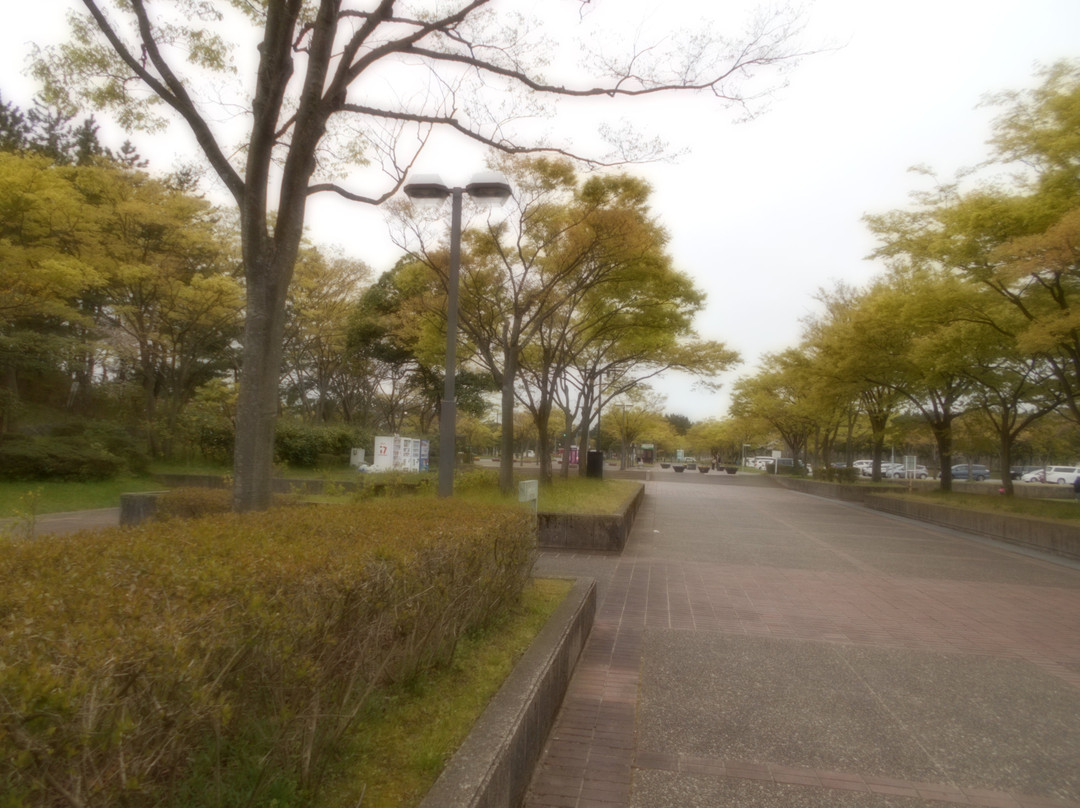 Iimoriyama Park-酒田市必去景点